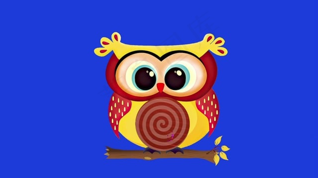 猫头鹰, 计时器, 倒数, 钟, 分钟, 测量, 准确性