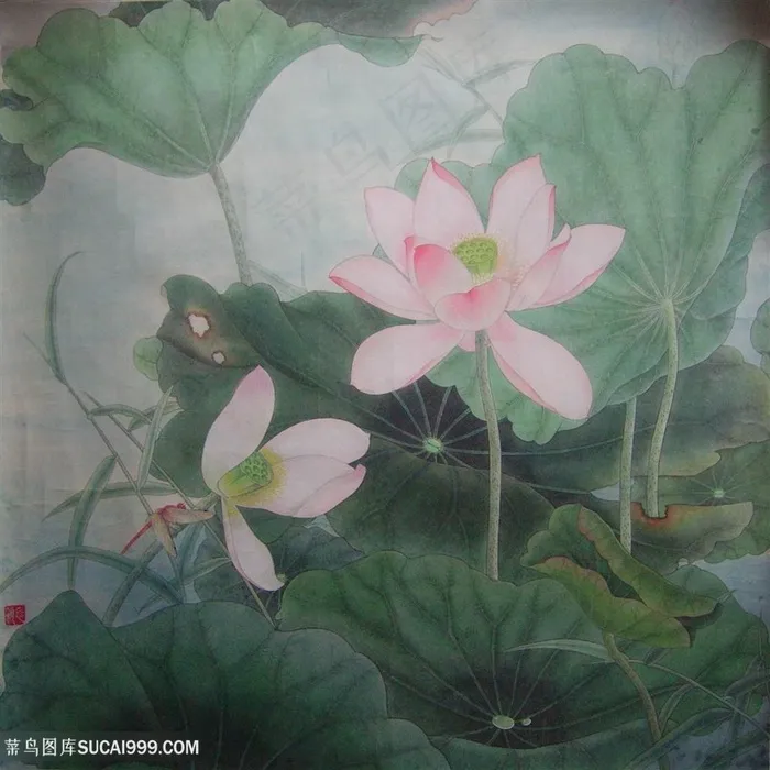 莲花荷花高清装饰画