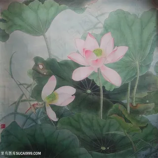 莲花荷花高清装饰画