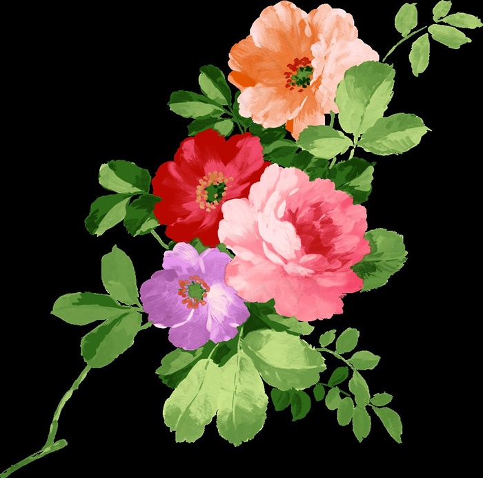 手绘花卉图片