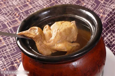 汤天麻煨乳鸽 汤天麻煨乳鸽
