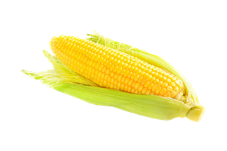 玉米 (15)超市商品白底图免抠实物摄影png格式图片透明底