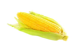 玉米 (15)超市商品白底图免抠实物摄影png格式图片透明底