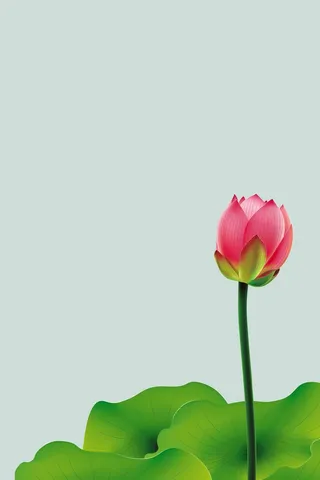 绿色背景 绿色海报背景