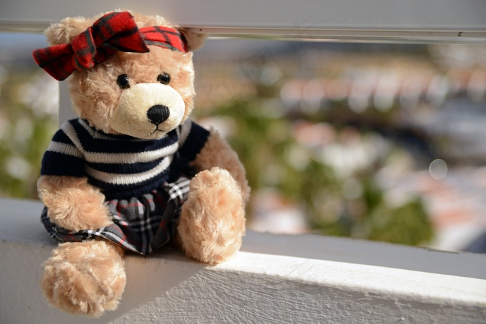 可爱泰迪熊布娃娃图片