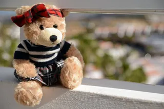 可爱泰迪熊布娃娃图片