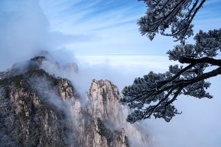 安徽黄山雪景树挂图片-第1张