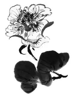 写意花卉绘画美图素材 写意花卉绘画美图素材