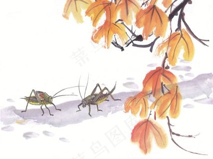 昆虫花草绘画素材