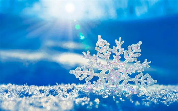 冬季美丽的雪花冰晶摄影