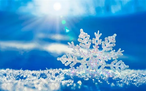 冬季美丽的雪花冰晶摄影 冬季美丽的雪花冰晶摄影