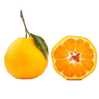 15丑橘 (2)水果超市商品白底图免抠实物摄影png格式图片透明底