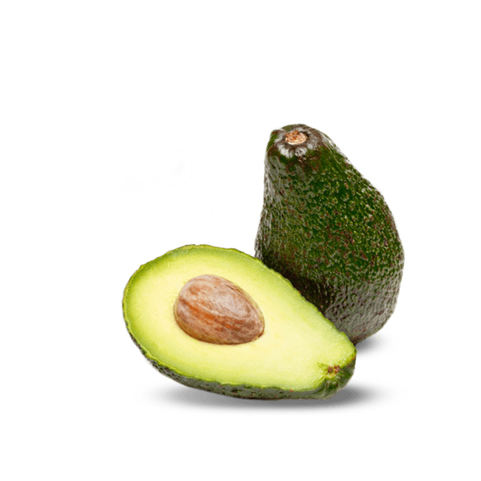 免抠羽毛摄影实物图片