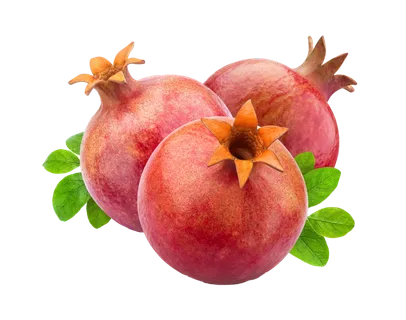 石榴 (18)水果超市商品白底图免抠实物摄影png格式图片透明底