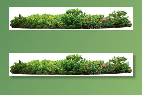 高清树木素材 免抠PSD植物素材 美术绘画园林贴图 树草灌木花草