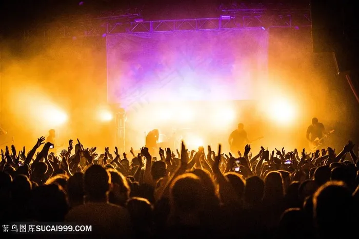 群星艺演现场欢呼的观众
