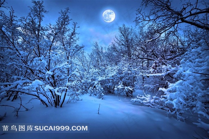 梦幻冬夜雪景风光