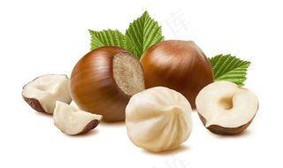 榛子果实摄影高清图片蔬菜图片