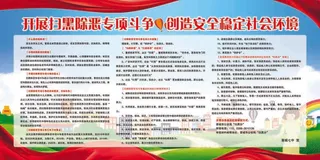 其中扫黑社会安全