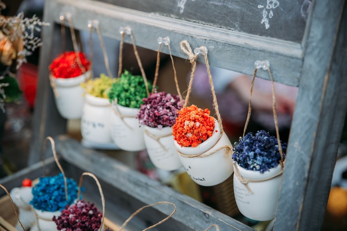 盆栽花装饰图片