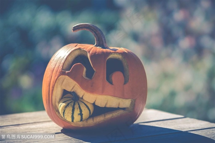 咬着小南瓜的大南瓜头