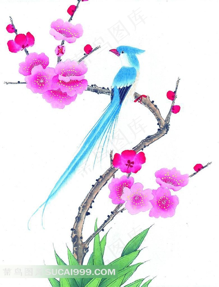 创意花鸟艺术图片