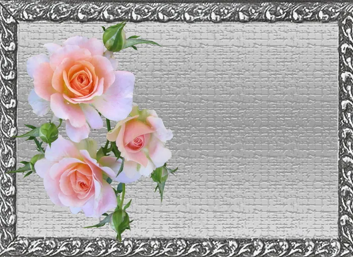 教师节贺卡图片