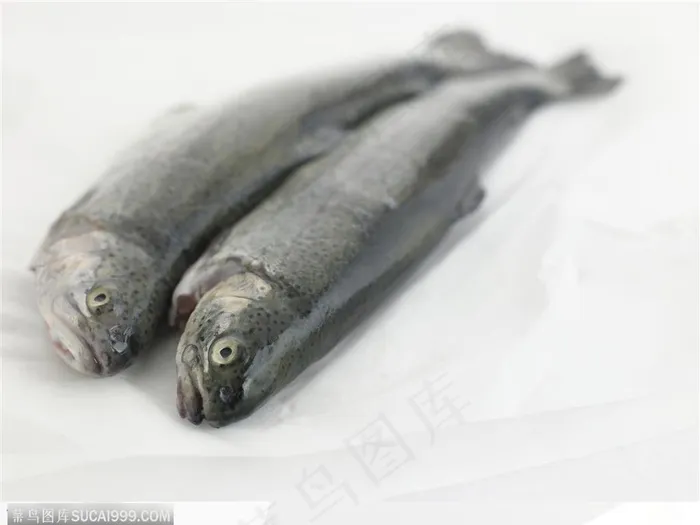 新鲜食材-两条斜放的鱼