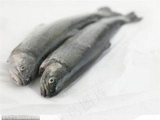 新鲜食材-两条斜放的鱼