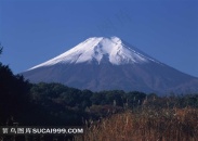 富士山和树林图片素材