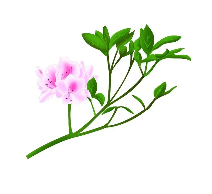 矢量免抠桃花cdr矢量模版下载