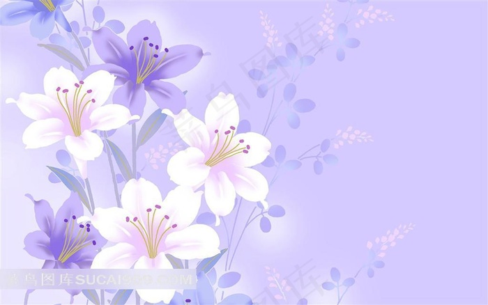 唯美百合花壁纸素材