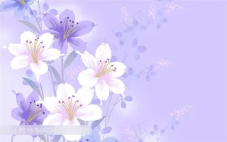 唯美百合花壁纸素材