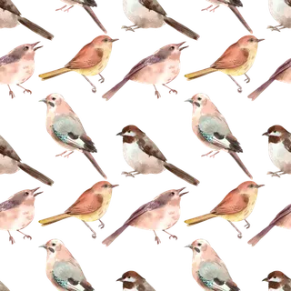 春鸟水彩剪贴画免抠素材