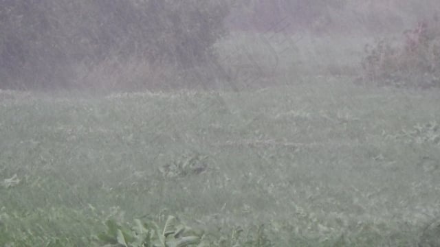 雨, 雷暴, 淋浴, 风暴, 风, 夏天, 自然