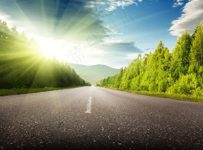 树木公路道路景色图