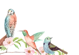 插画春鸟免抠素材