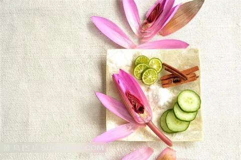 桌上的荷花青柠青瓜香料和盐