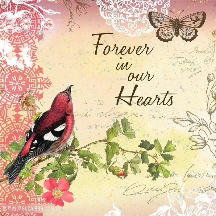 欧式花鸟装饰画