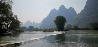 森林 道路 天空 自然景色 摄影 自然景观