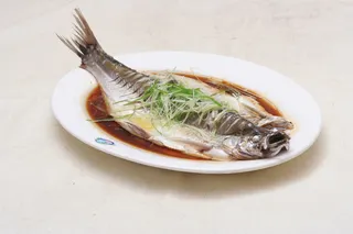 清蒸太湖白鱼1.5斤98元每例