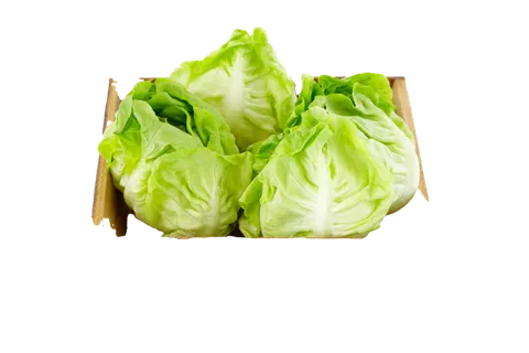 生菜 (7)超市商品白底图免抠实物摄影png格式图片透明底