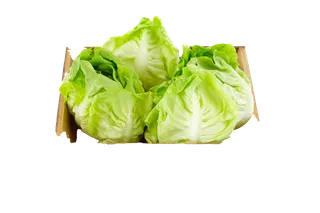 生菜 (7)超市商品白底图免抠实物摄影png格式图片透明底