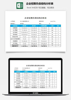 企业短期负债结构分析表excel模板预览图