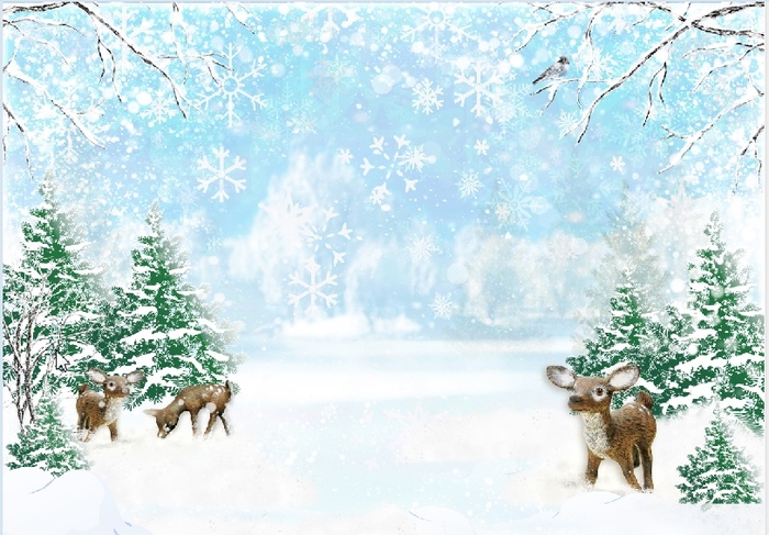 圣诞节花雪蓝天白色背景墙