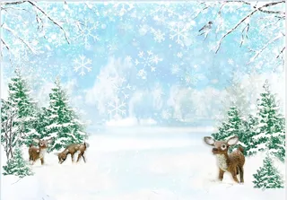 圣诞节花雪蓝天白色背景墙