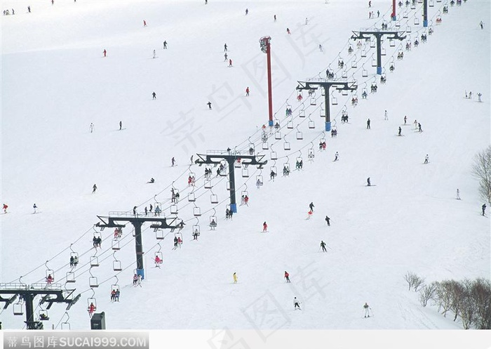 滑雪场全景