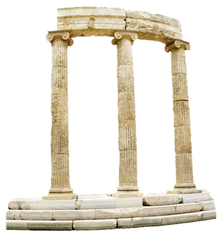 欧式优雅精致复古风格油画质感色彩手绘花卉植物树叶插画PNG素材2