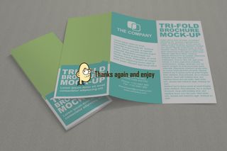 三折页宣传样机