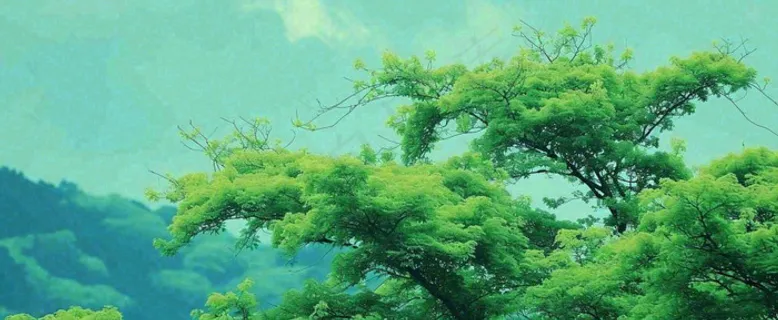 悬崖高山意境云层绿树树木特写